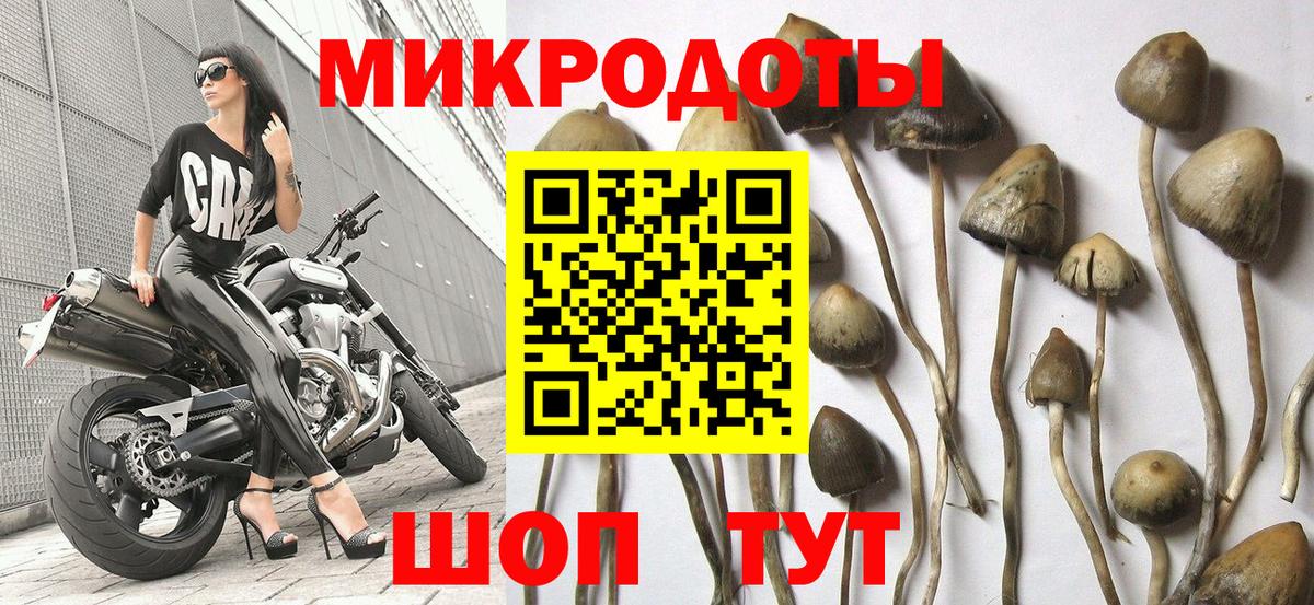 Галлюциногенные грибы Cubensis Лысьва